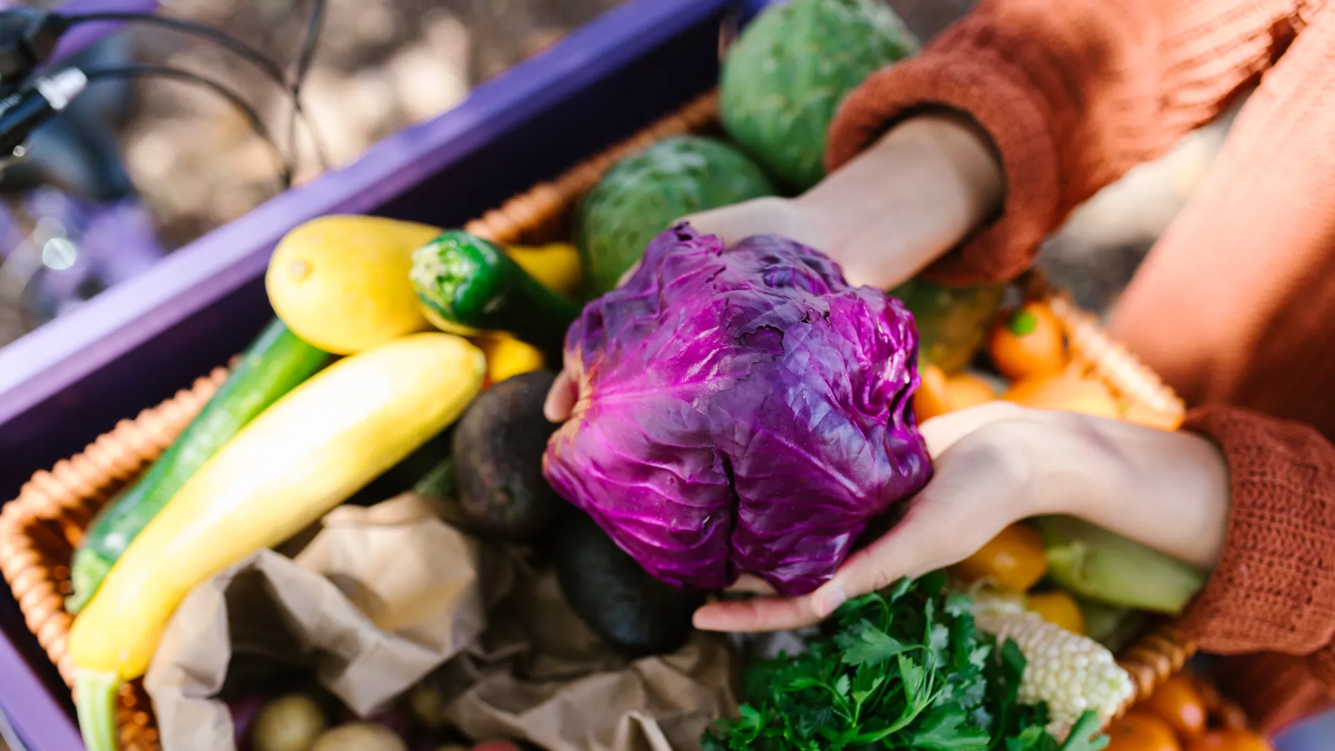 Wie myFoodDoctor dir dabei hilft, dich gesünder zu ernähren: Der Optimierungsbereich Gemüse