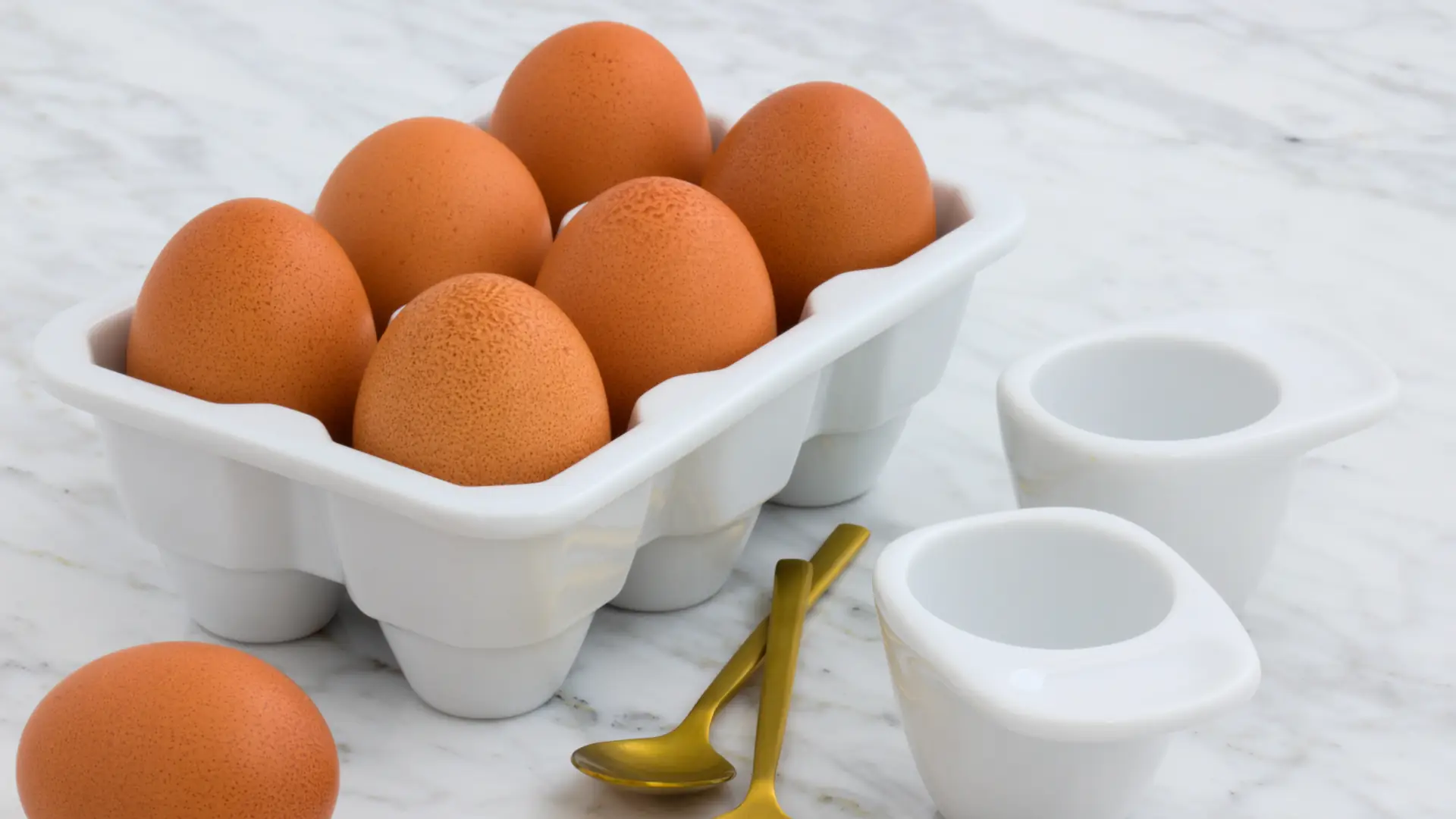 myFoodDoctor: Eier haben eine sehr hohe biologische Wertigkeit. Ihre Proteine sind für den menschlichen Körper sehr gut verwertbar.