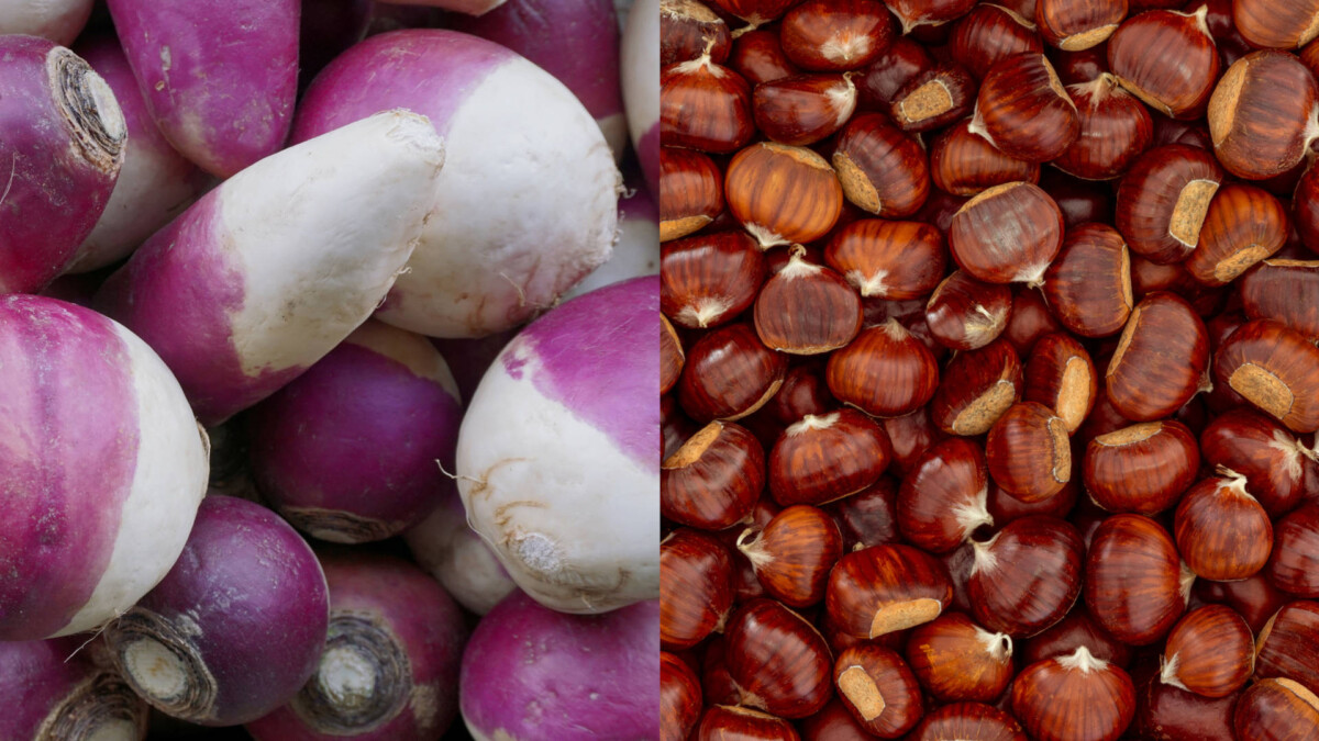 myfooddoctor | Steckrüben-Rösti mit Lachs