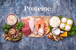 Proteine, Eiweiß, Dr. Riedl, Ernährung, Edocs, Proteinpulver